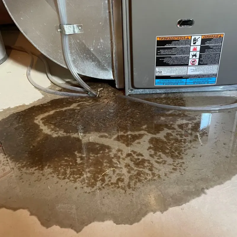 Pipe Burst and Leak Restoration in Montmorency County, MI